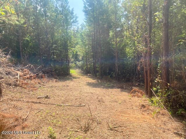 Archie Boyd Road Jayess, MS 39641 - Photo 21 of 27 IMG_6623