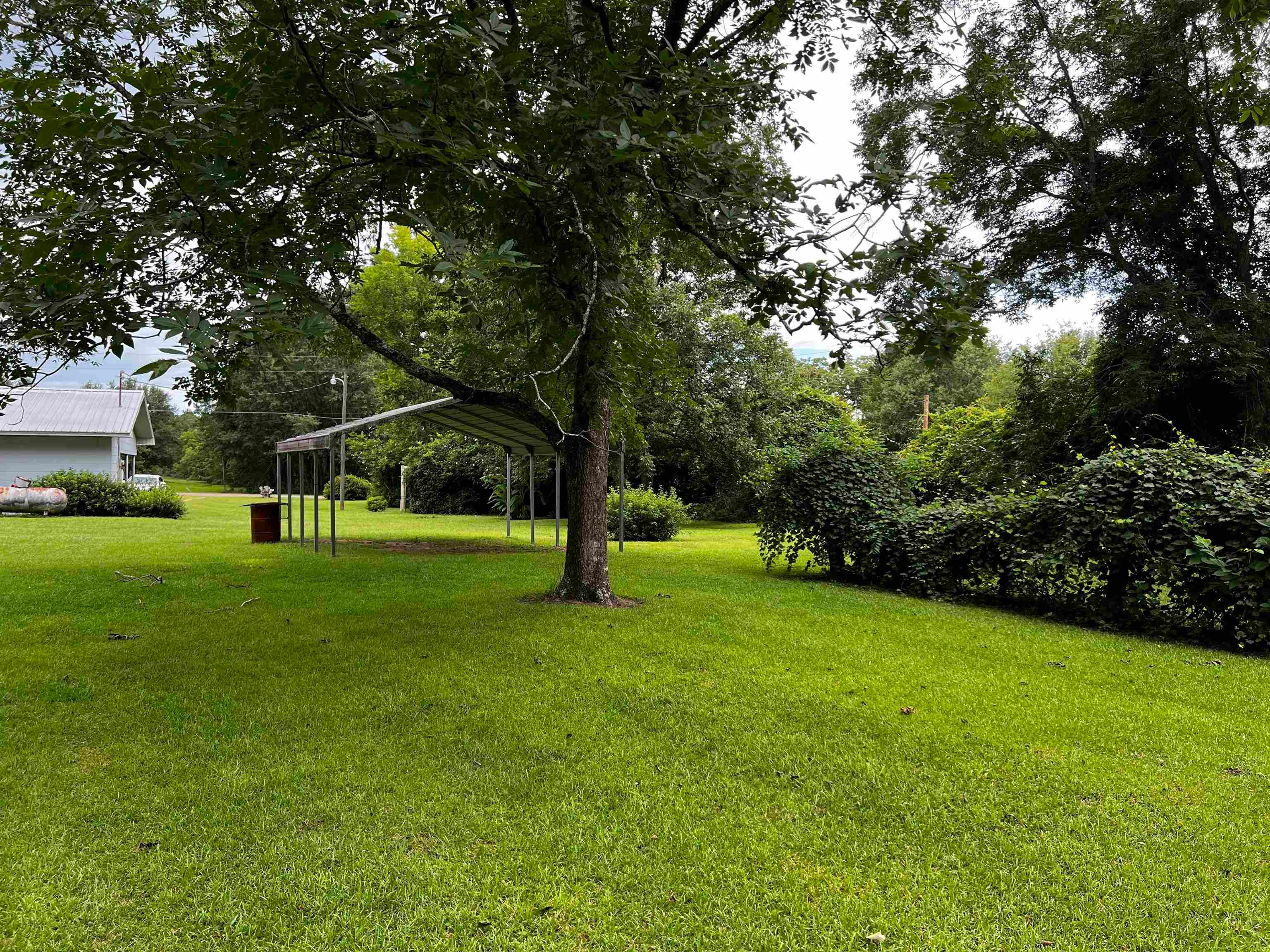17371 Dunns Bridge Road Andalusia, AL 36421 - Photo 11 of 43 Gallery Image 11