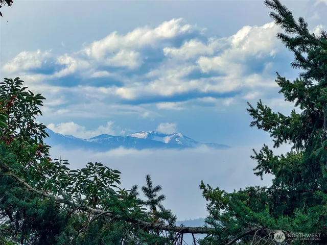 a front view of a house with a garden and tree