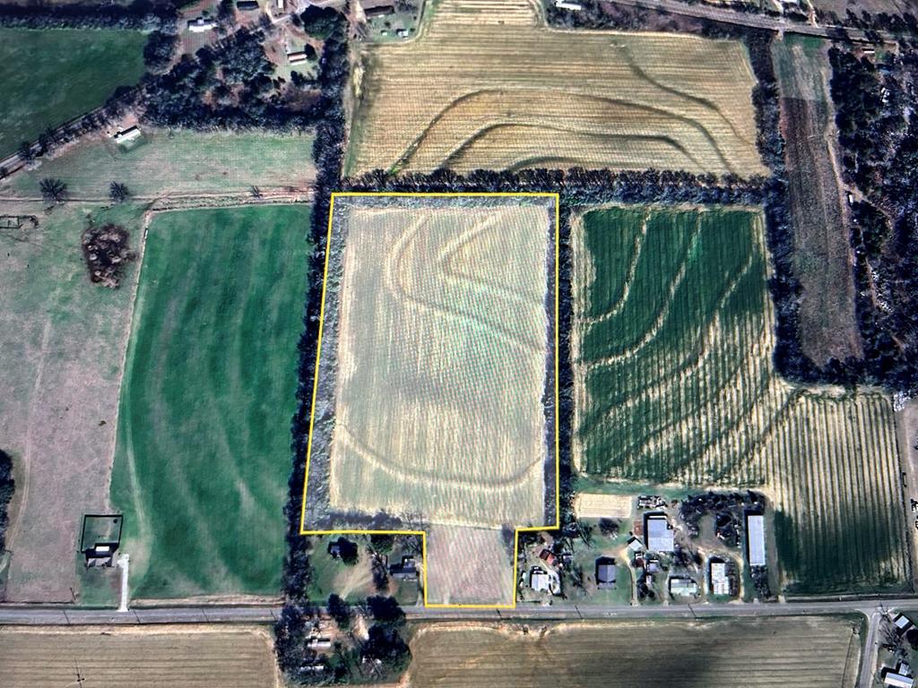 17.99-ac 17.99-ac Wicksburd Road Newton, AL 36352 - Photo 1 of 22