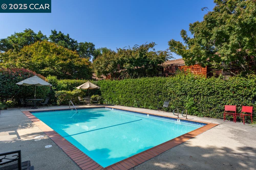 1455 Latour Lane, Unit 43 Concord, CA 94521 - Photo 17 of 17 a view of a pool with a yard