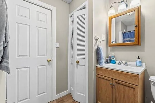 a bathroom with a sink a toilet and a mirror