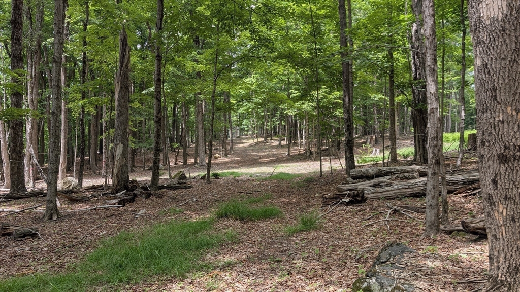 951 West Road Ashfield, MA 01330 - Photo 11 of 30 Gallery Image 11