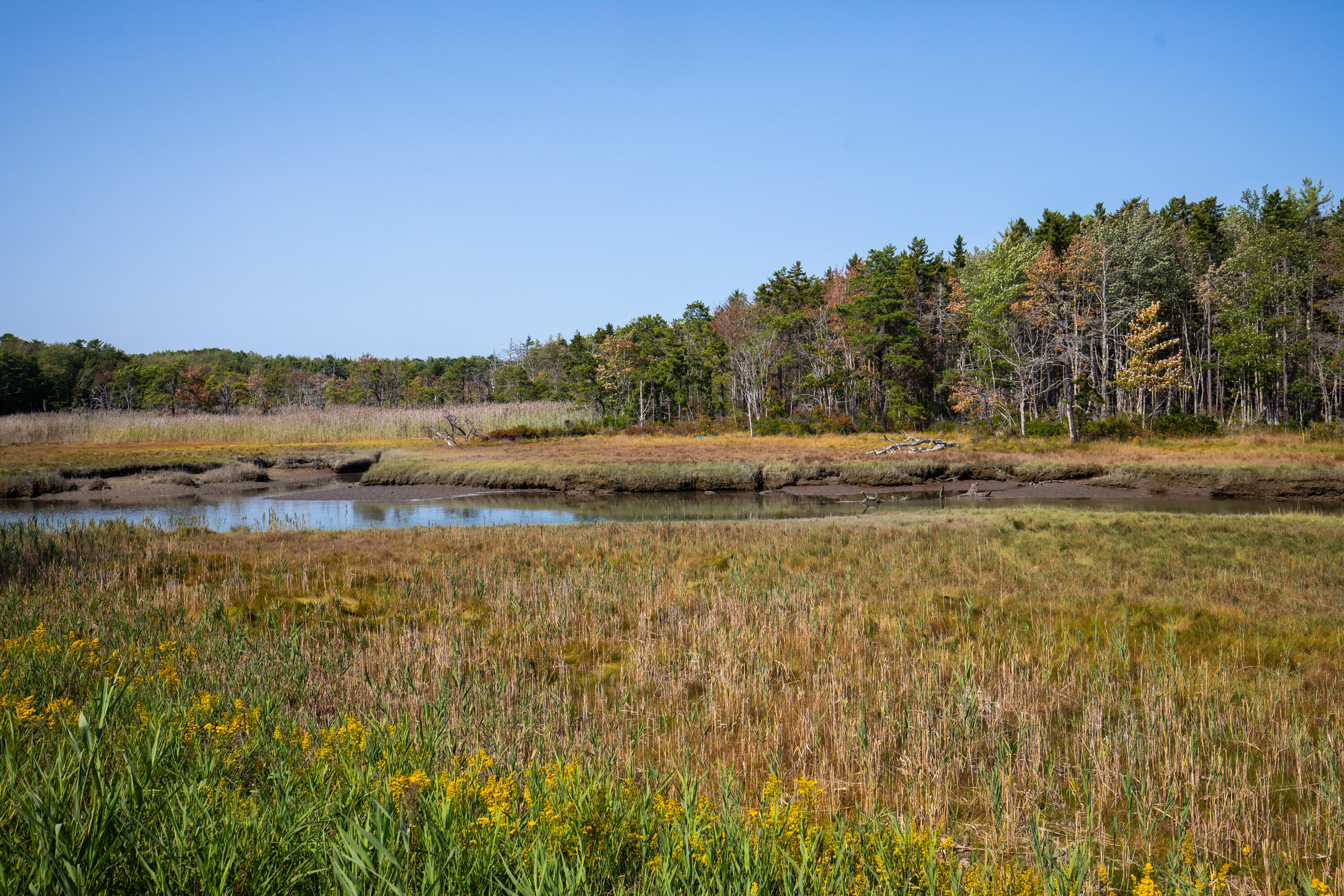12 Marsh View Avenue Kennebunk, ME 04043 - Photo 26 of 28 33-15 Marsh Road, Kennebunk