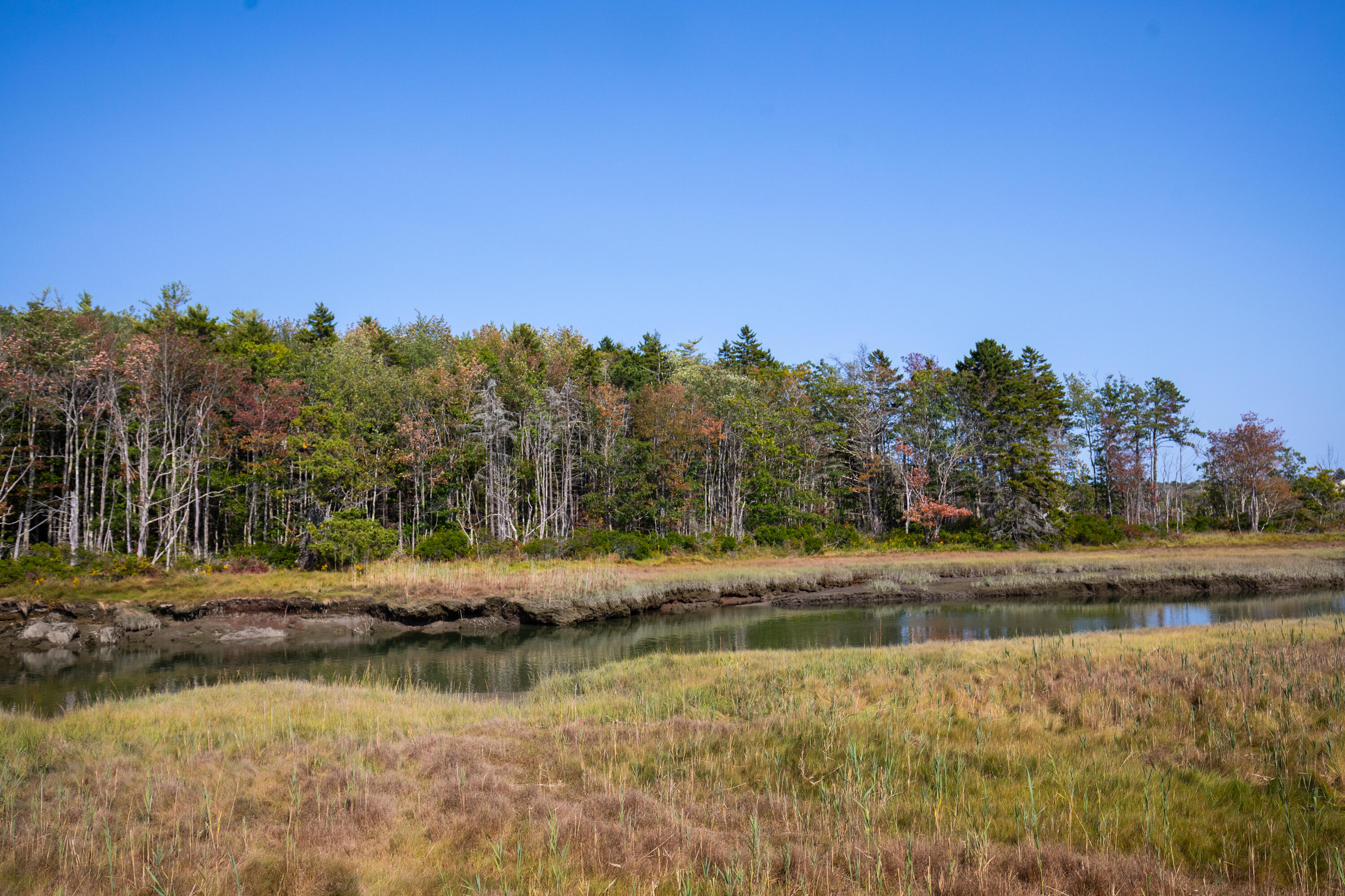 12 Marsh View Avenue Kennebunk, ME 04043 - Photo 6 of 28 35-15 Marsh Road, Kennebunk