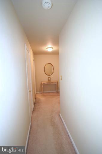 5900 Prince George Drive, Unit 331 Springfield, VA 22152 - Photo 8 of 15 Hallway
