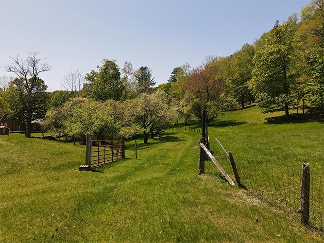 946 Old Gulf Road South Andover, VT 05143 - Photo 11 of 26