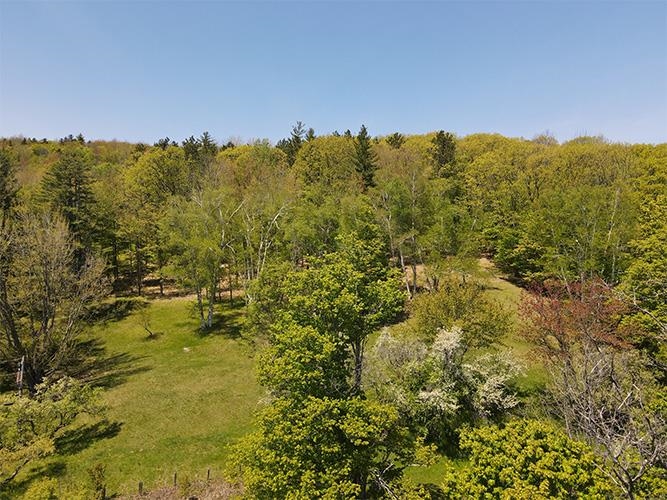 946 Old Gulf Road South Andover, VT 05143 - Photo 12 of 26