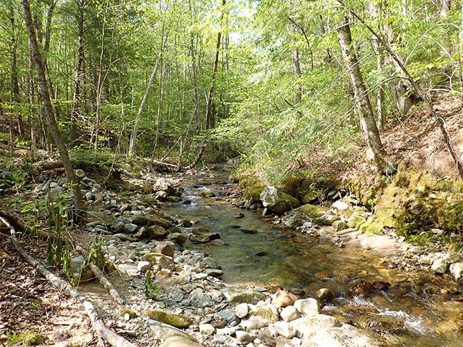 946 Old Gulf Road South Andover, VT 05143 - Photo 14 of 26