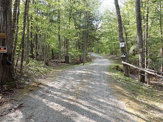 946 Old Gulf Road South Andover, VT 05143 - Photo 15 of 26