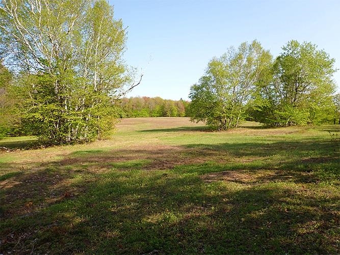 946 Old Gulf Road South Andover, VT 05143 - Photo 16 of 26