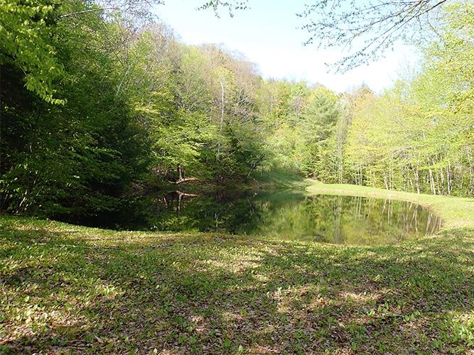 946 Old Gulf Road South Andover, VT 05143 - Photo 17 of 26