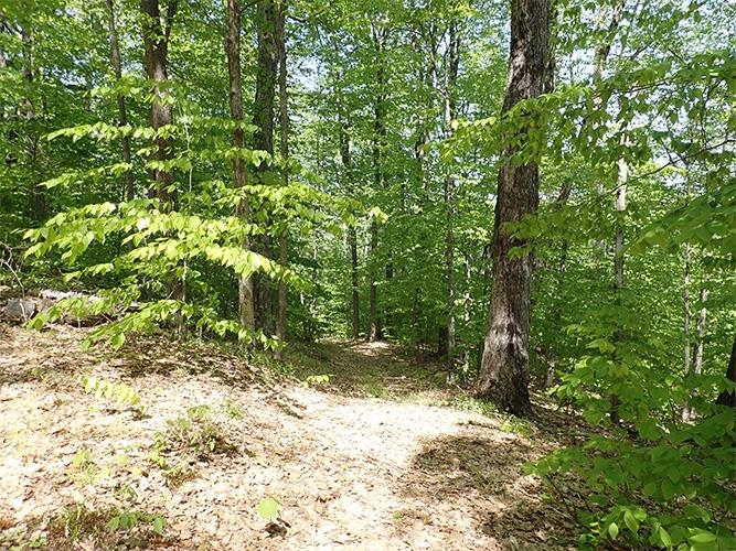 946 Old Gulf Road South Andover, VT 05143 - Photo 23 of 26