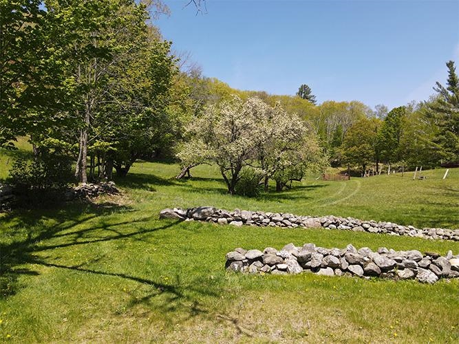 946 Old Gulf Road South Andover, VT 05143 - Photo 5 of 26