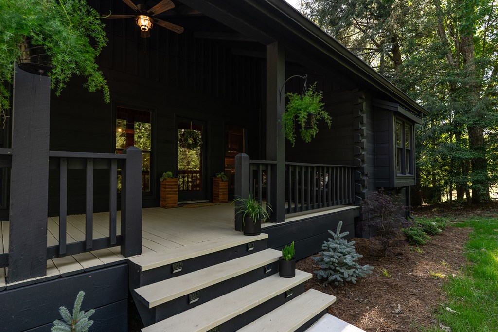 365 Browns Cove Road Blue Ridge, GA 30513 - Photo 12 of 86