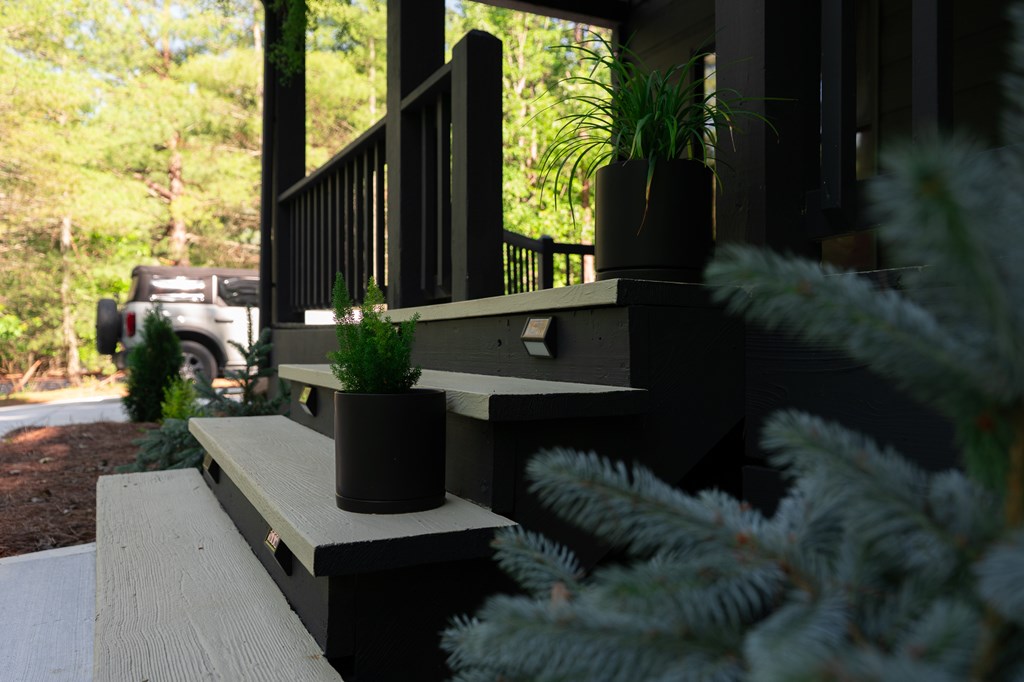 365 Browns Cove Road Blue Ridge, GA 30513 - Photo 16 of 86