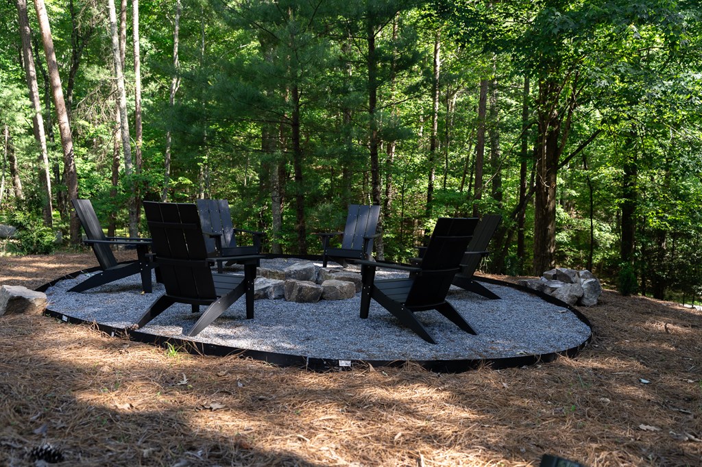 365 Browns Cove Road Blue Ridge, GA 30513 - Photo 22 of 86