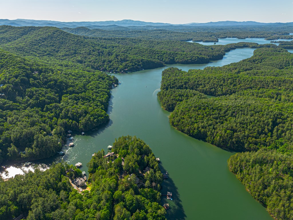 365 Browns Cove Road Blue Ridge, GA 30513 - Photo 4 of 86