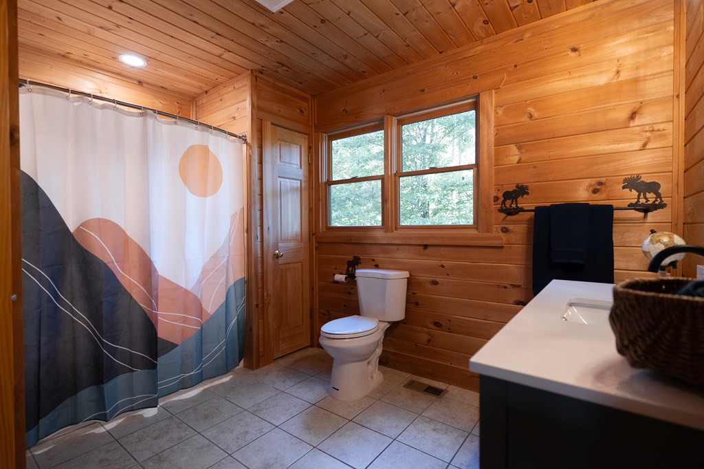 365 Browns Cove Road Blue Ridge, GA 30513 - Photo 53 of 86