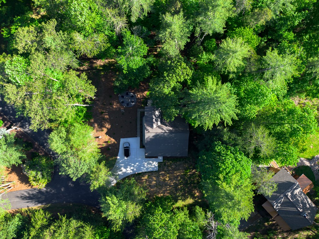 365 Browns Cove Road Blue Ridge, GA 30513 - Photo 57 of 86