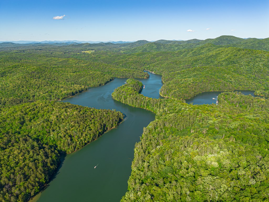 365 Browns Cove Road Blue Ridge, GA 30513 - Photo 63 of 86