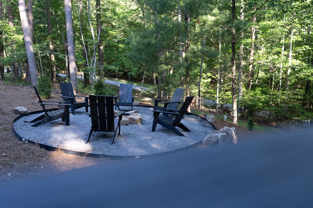 365 Browns Cove Road Blue Ridge, GA 30513 - Photo 7 of 86