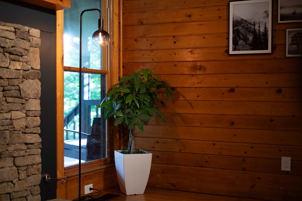 365 Browns Cove Road Blue Ridge, GA 30513 - Photo 79 of 86