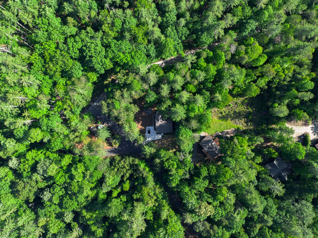 365 Browns Cove Road Blue Ridge, GA 30513 - Photo 82 of 86