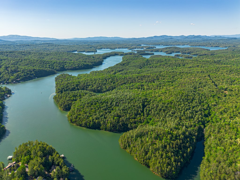 365 Browns Cove Road Blue Ridge, GA 30513 - Photo 85 of 86