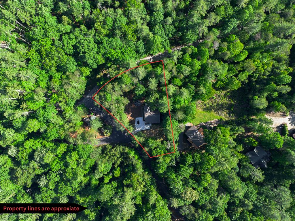 365 Browns Cove Road Blue Ridge, GA 30513 - Photo 86 of 86