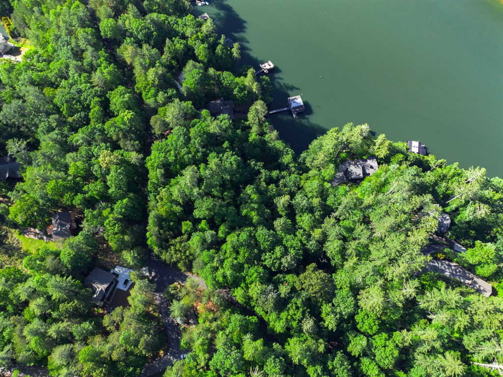 365 Browns Cove Road Blue Ridge, GA 30513 - Photo 9 of 86