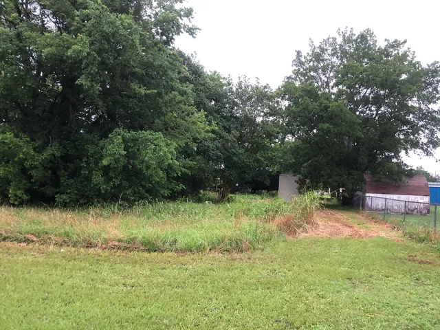 a backyard of a house with yard and trampoline