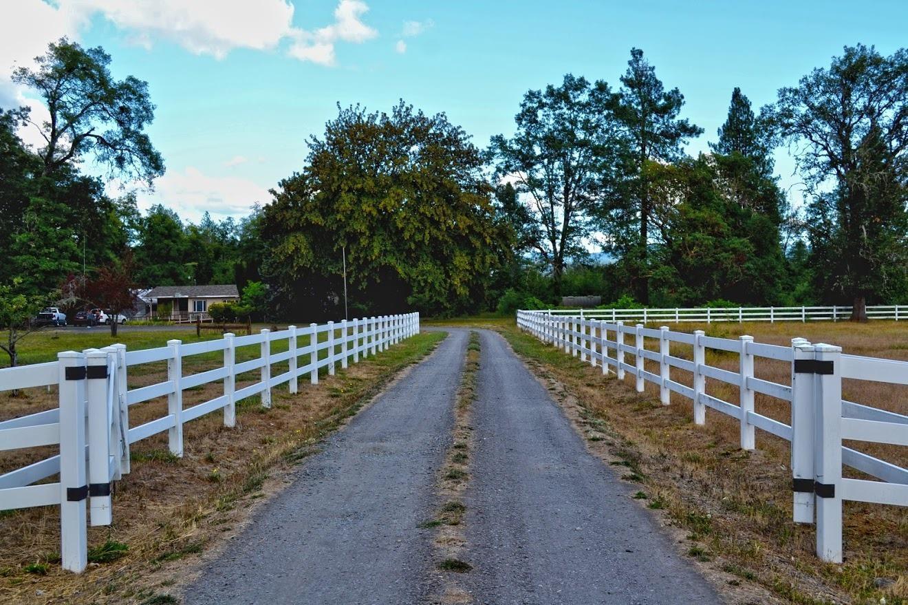 1321 Rockydale Road Cave Junction, OR 97523 - Photo 9 of 35 driveway and pastures