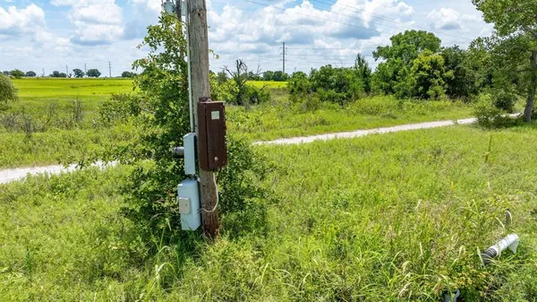 a view of a garden with plants