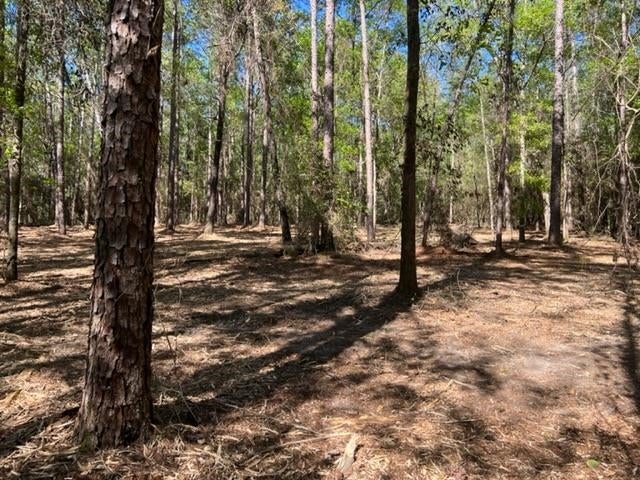 331 US Highway 331 Opp, AL 36467 - Photo 14 of 20 Gallery Image 14