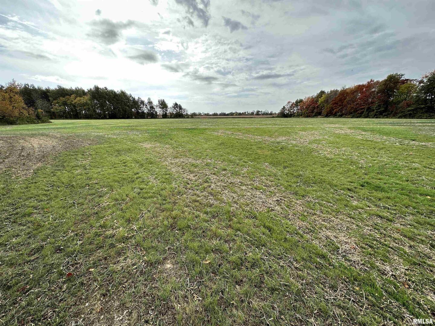 0 East Freesia Road Mulkeytown, IL 62865 - Photo 11 of 26 a view of a field with an ocean