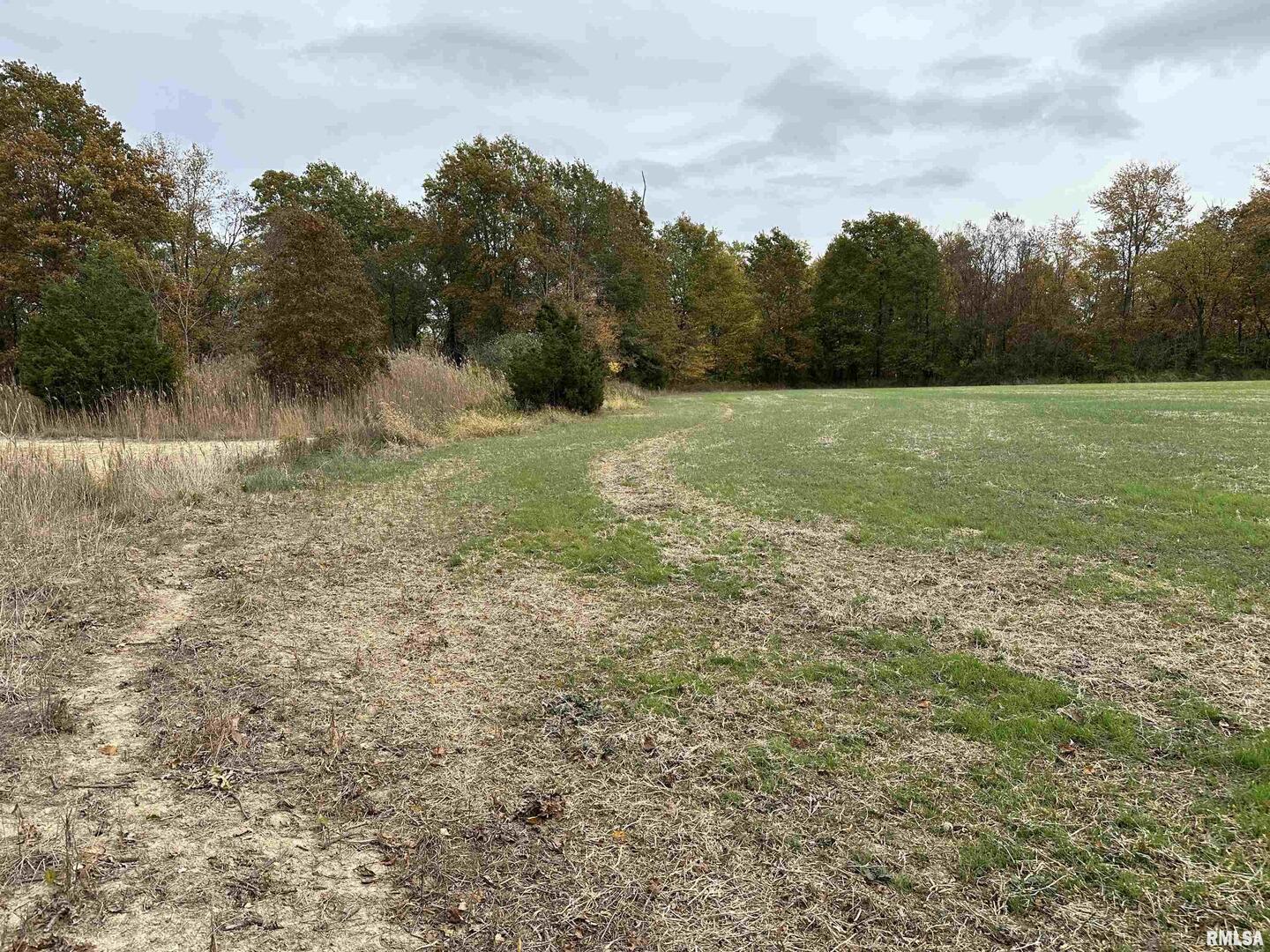 0 East Freesia Road Mulkeytown, IL 62865 - Photo 4 of 26 a view of a field with trees in the background