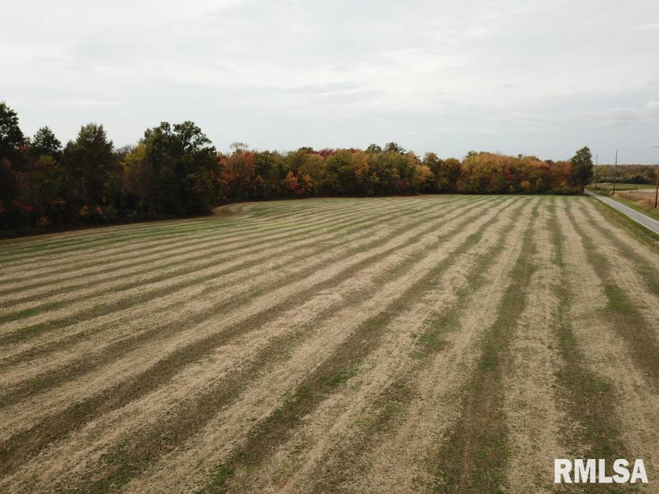0 East Freesia Road Mulkeytown, IL 62865 - Photo 6 of 26 a view of terrace with sky view