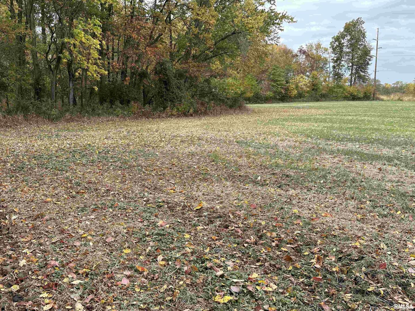 0 East Freesia Road Mulkeytown, IL 62865 - Photo 7 of 26 a view of a field with trees