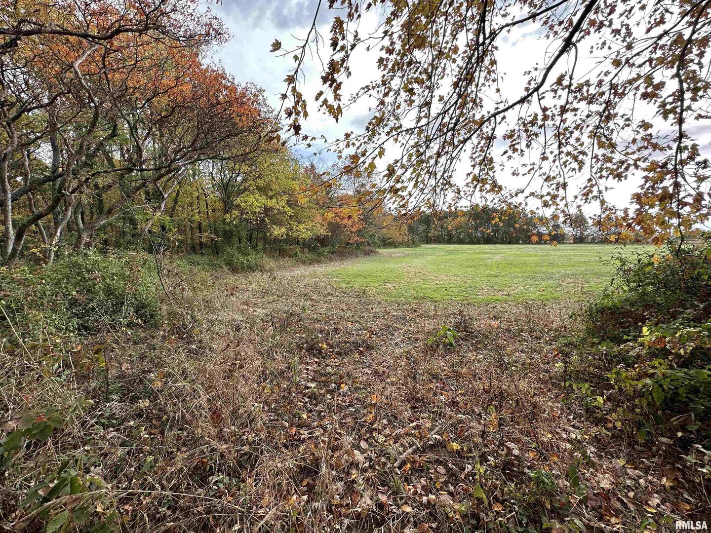 0 East Freesia Road Mulkeytown, IL 62865 - Photo 8 of 26 a view of outdoor space and yard