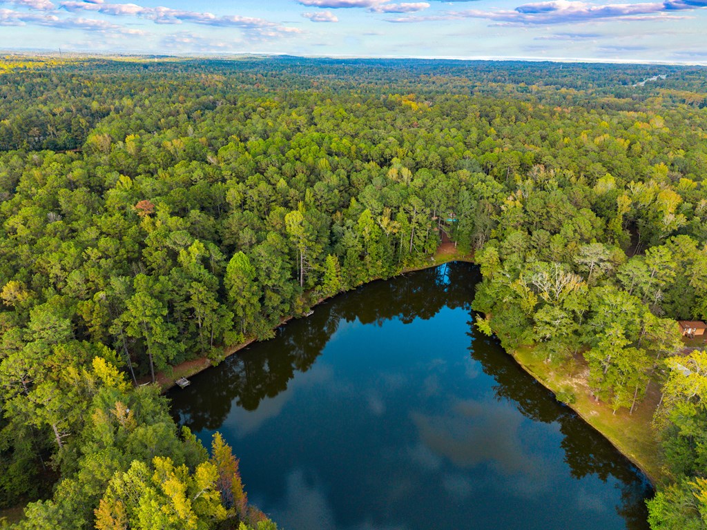 7023 Cartledge Road Box Springs, GA 31801 - Photo 29 of 44 Arial view of lake
