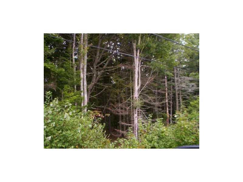 0 Ridge Road Phippsburg, ME 04562 - Photo 1 of 4 Land.
