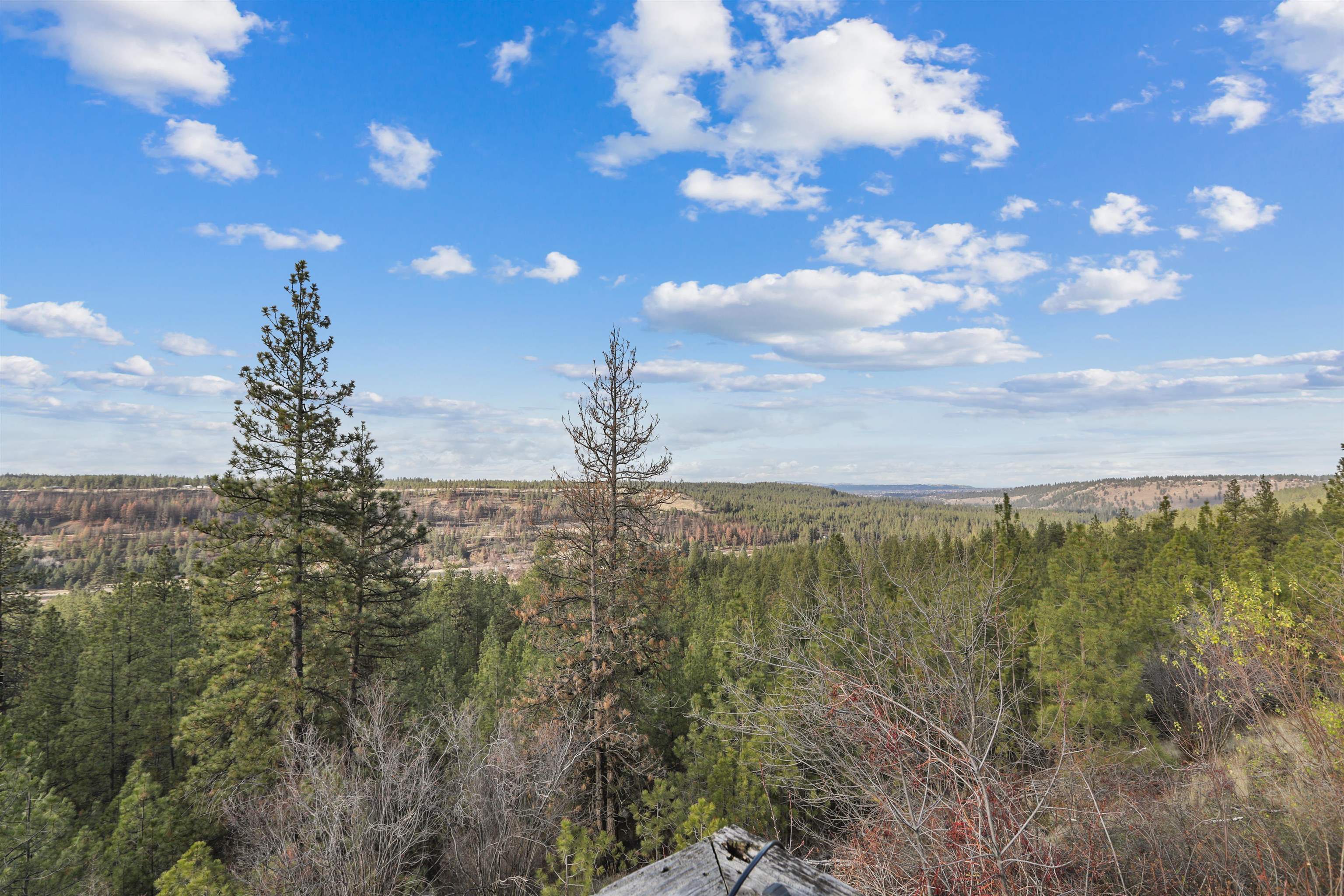 7104 South Oak Road Spokane, WA 99224 - Photo 8 of 36