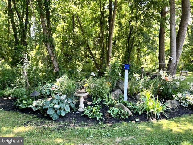 2316 Theodore Road North East, MD 21901 - Photo 7 of 18 Beautiful Landscaping