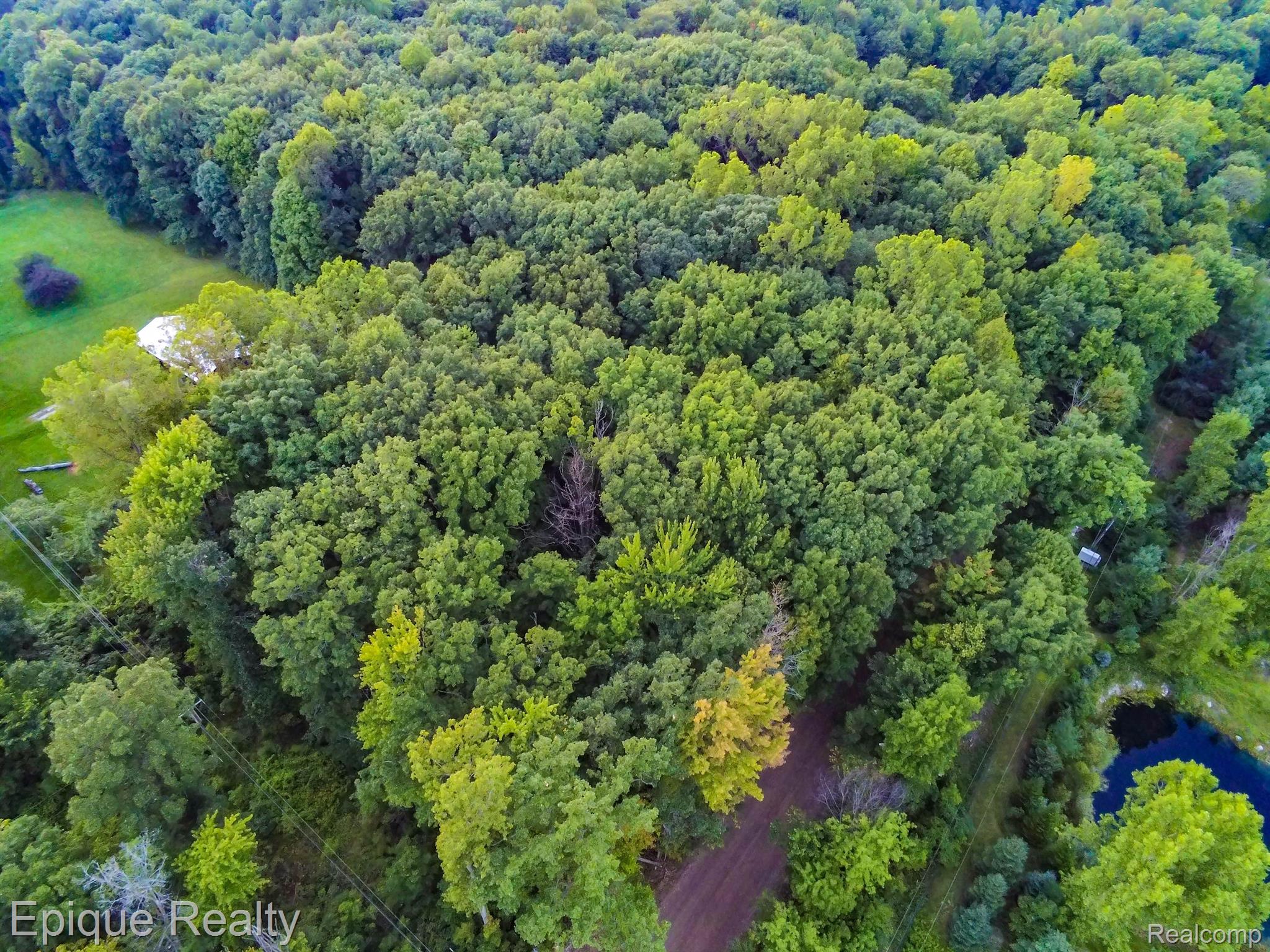-tbd Hagerman Road Leonard, MI 48367 - Photo 4 of 5 Gallery Image 4