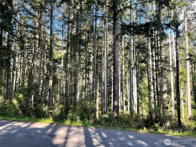 a view of a garden with plants