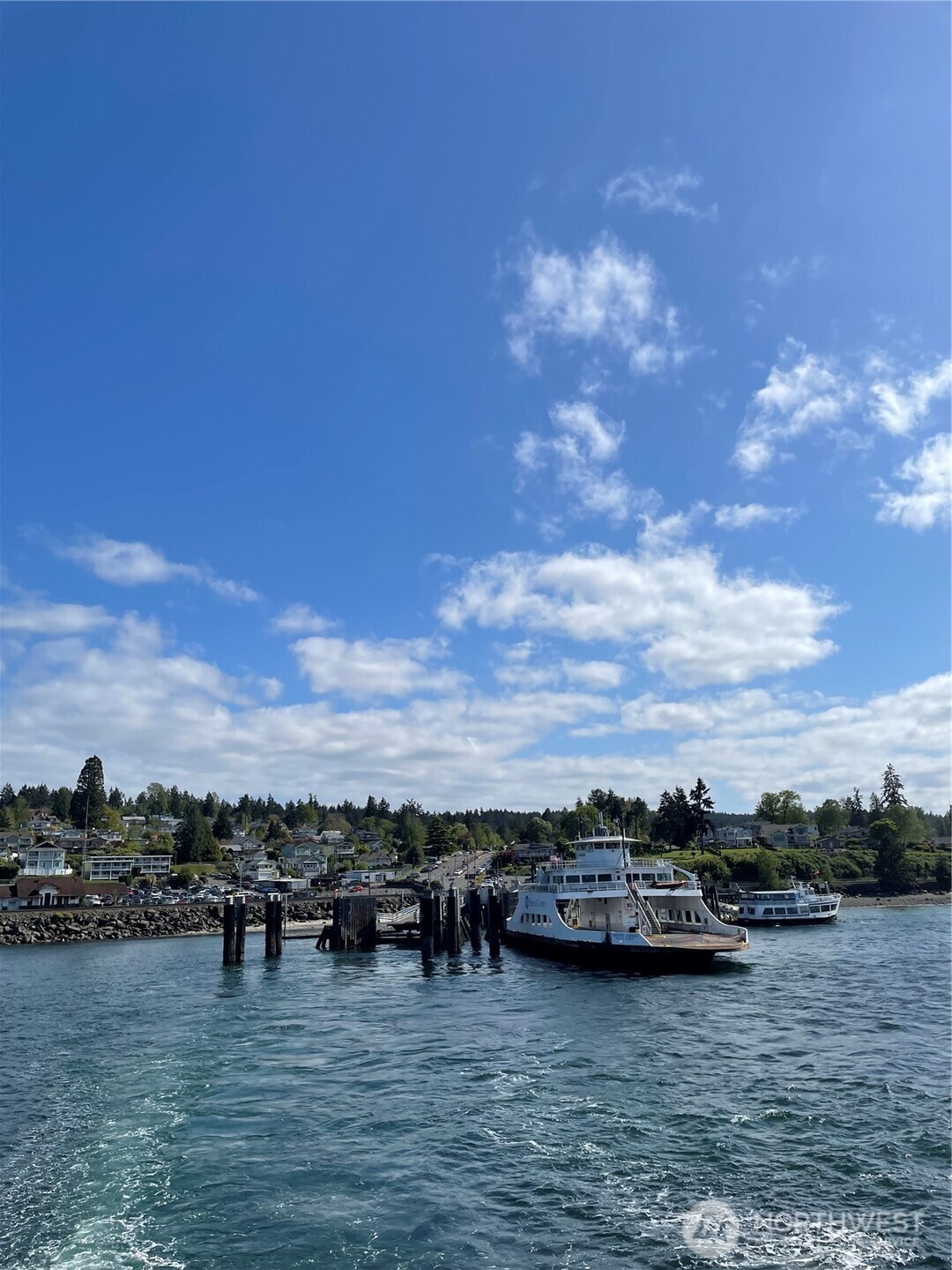 11024 Cascade Place Anderson Island, WA 98303 - Photo 3 of 8 a view of a lake with houses