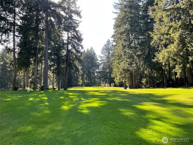 a big yard with trees