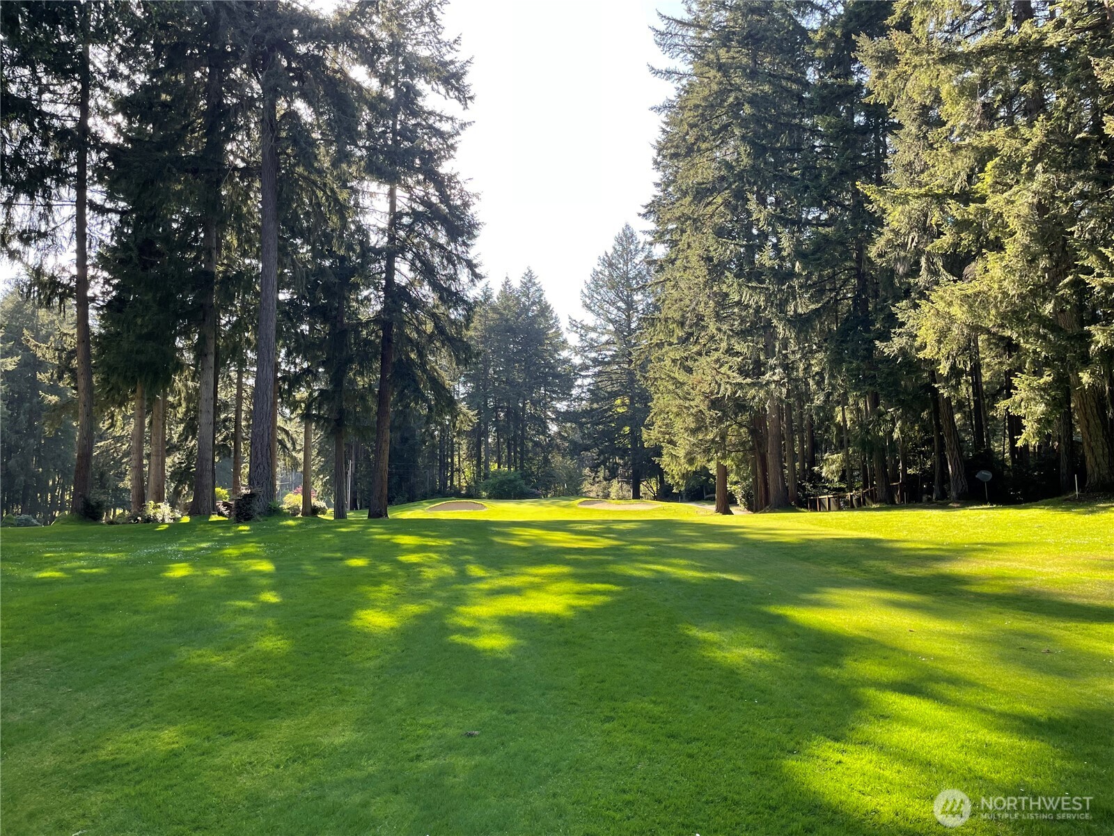 11024 Cascade Place Anderson Island, WA 98303 - Photo 4 of 8 a big yard with trees