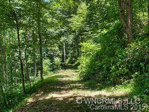 707 Burney Mountain Road Fletcher, NC 28732 - Photo 19 of 21 Gallery Image 19
